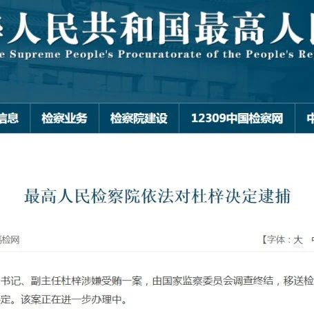 重磅新闻！揭秘杜梓被捕背后的真相
