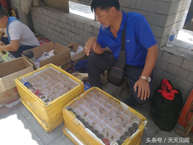 多地秋创低温，深度解析背后的原因与影响