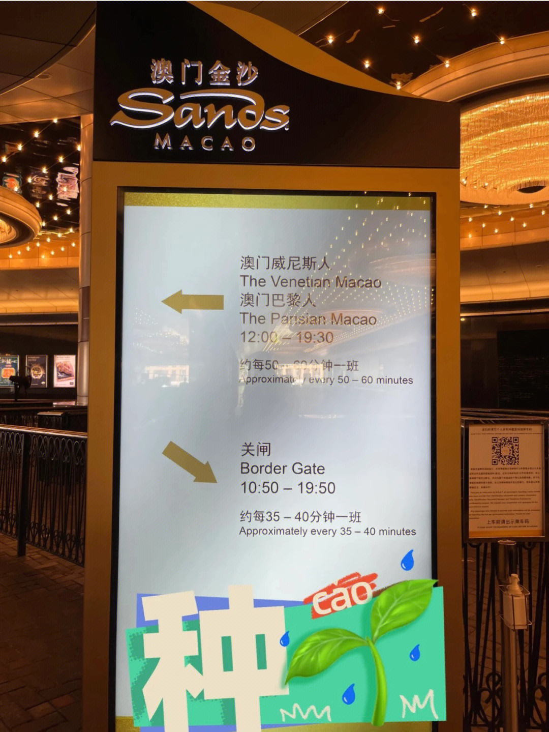 新澳门挂牌正版完挂牌记录怎么查,周全解答解释落实_双语制33.51