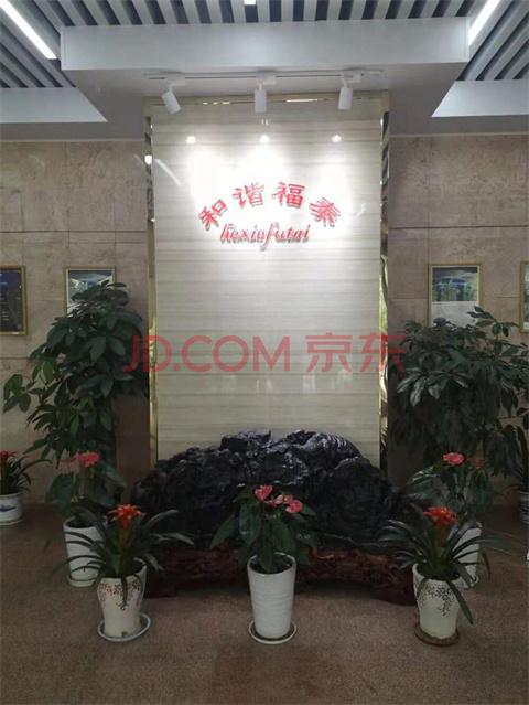 香港最快免费内部资料香,经济分析方案_可变款20.602
