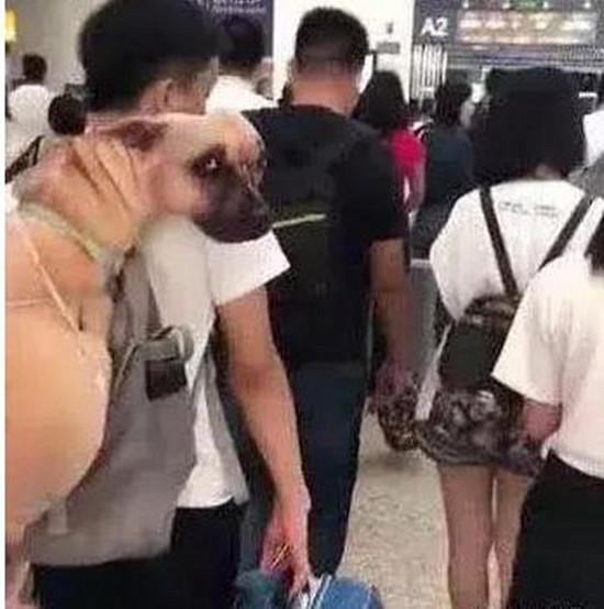 网红小明直播情侣亲昵与安检瞬间，奇妙之旅的私密瞬间