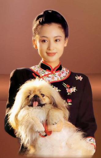 梅花三弄澳门资料库,实际解析应用说明_65.309