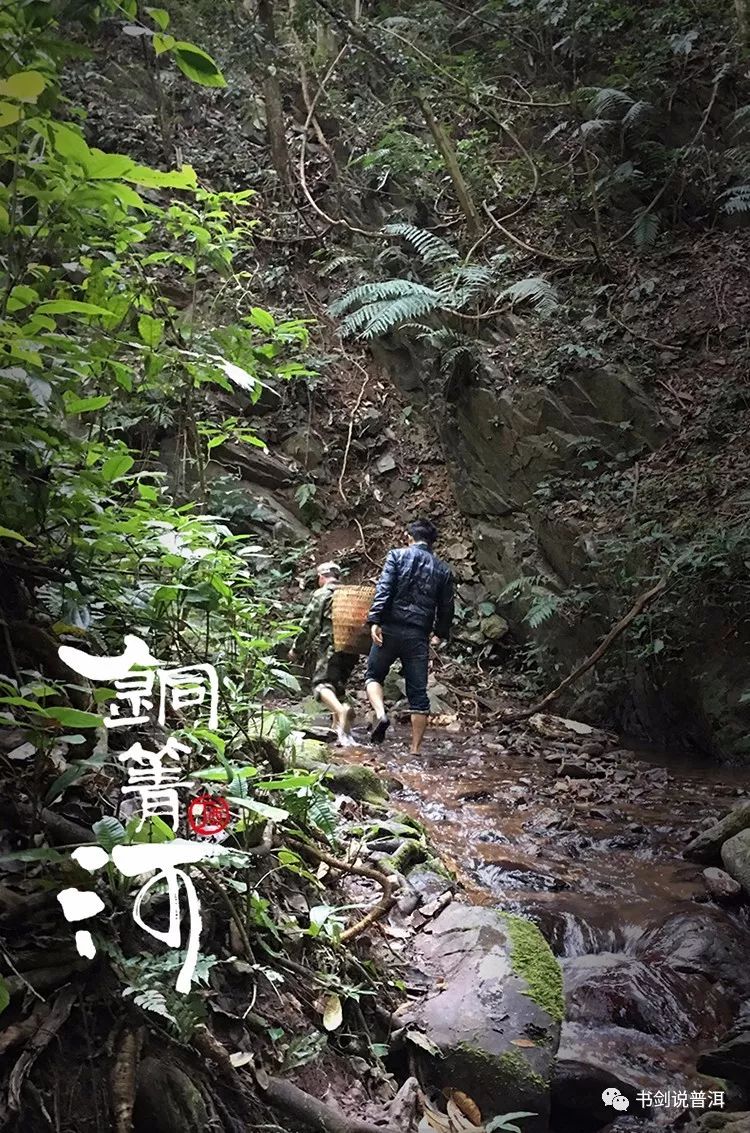 部队穿越哀牢山的神秘之旅，自然美景与内心宁静的探寻