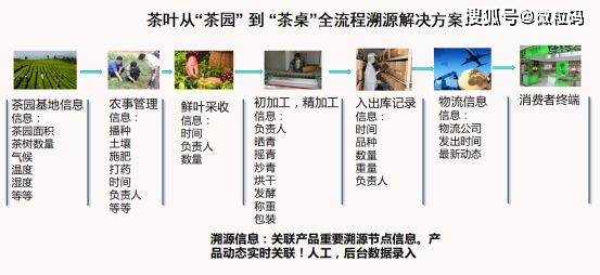 澳门一码一码100准确,创新思路解答解释方案_透明集9.601