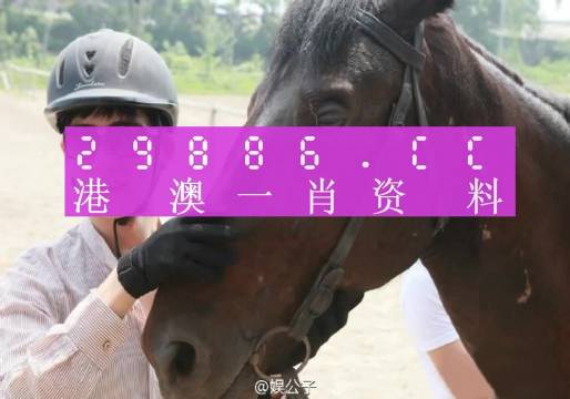 澳门今晚必中一肖一码,才华执行解答解释落实_FT集89.869
