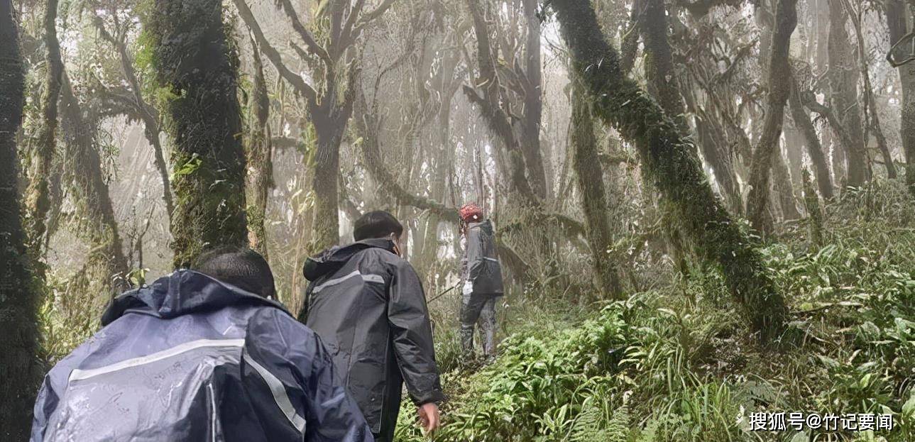 部队穿越哀牢山的震撼之旅，现场画面展现奇妙之旅