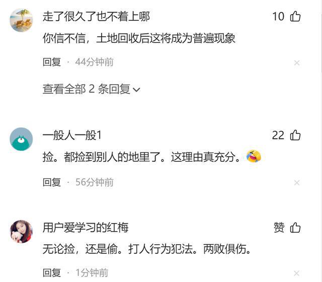 老人拾玉米被打致死伤事件揭秘，当地回应与拾玉米背后的故事