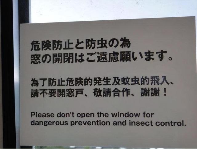 中国游客高喊英文口号引发情感与力量交织的旅行热议瞬间