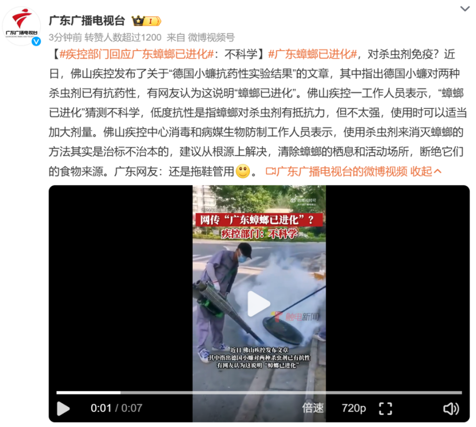 广东蟑螂进化真相揭秘，疾控部门回应，探寻内心平静的自然之旅
