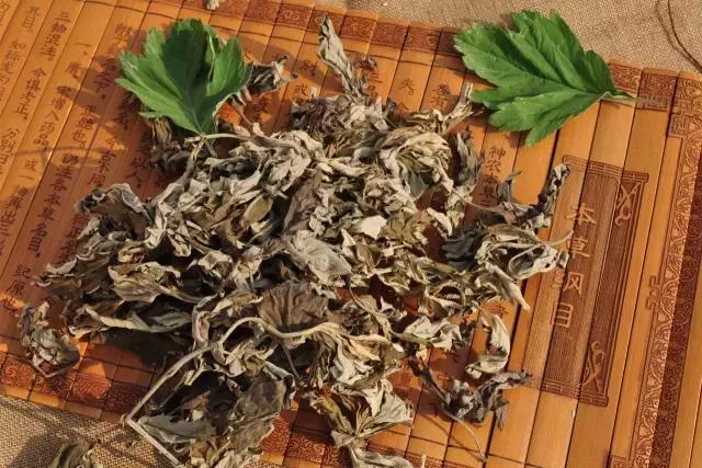 针灸风险揭秘，女子针灸后近半个肺缩没事件深度探讨