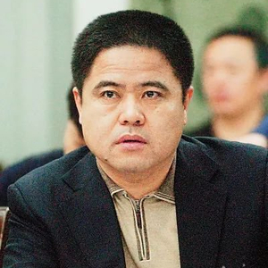 副市长辞职外逃事件揭秘，纷争背后的真相与举报市委书记的焦点