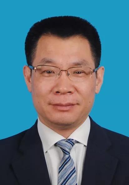 2024新奥官方精准免费资料汇编，安全评估策略专家版OXM353.48