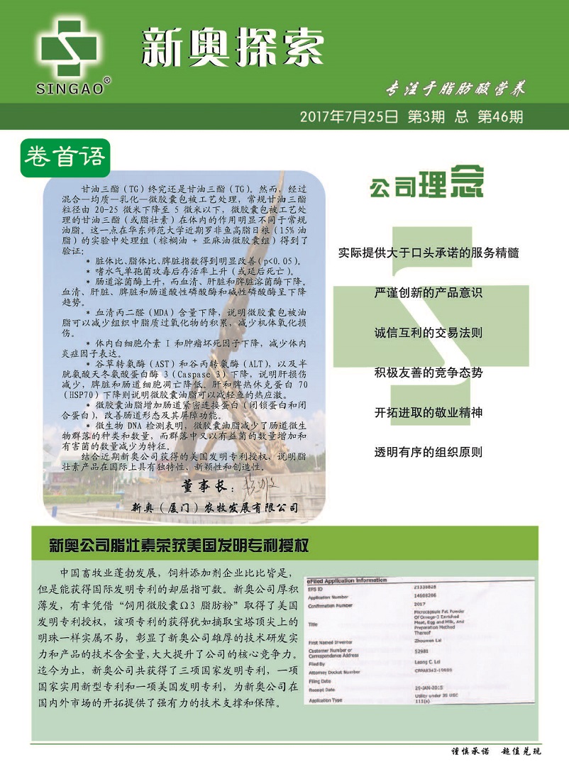 2024新奥精选资料免费汇编078期：安全设计策略揭秘_薄荷版IQL520.23