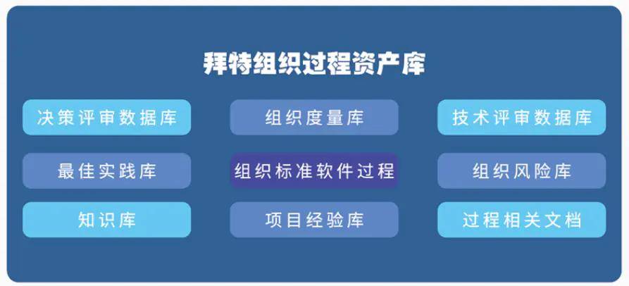 一码必中秘籍：管家婆大小中特攻略，DMA967.07终极安全解析