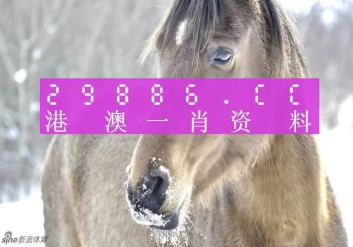 澳门一码100%精准解读，精选定义精简版UFX346.47