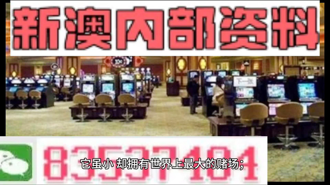 “2024正版澳新资料大全免费分享，时代资料解读与实施_标准AVW400.62版”