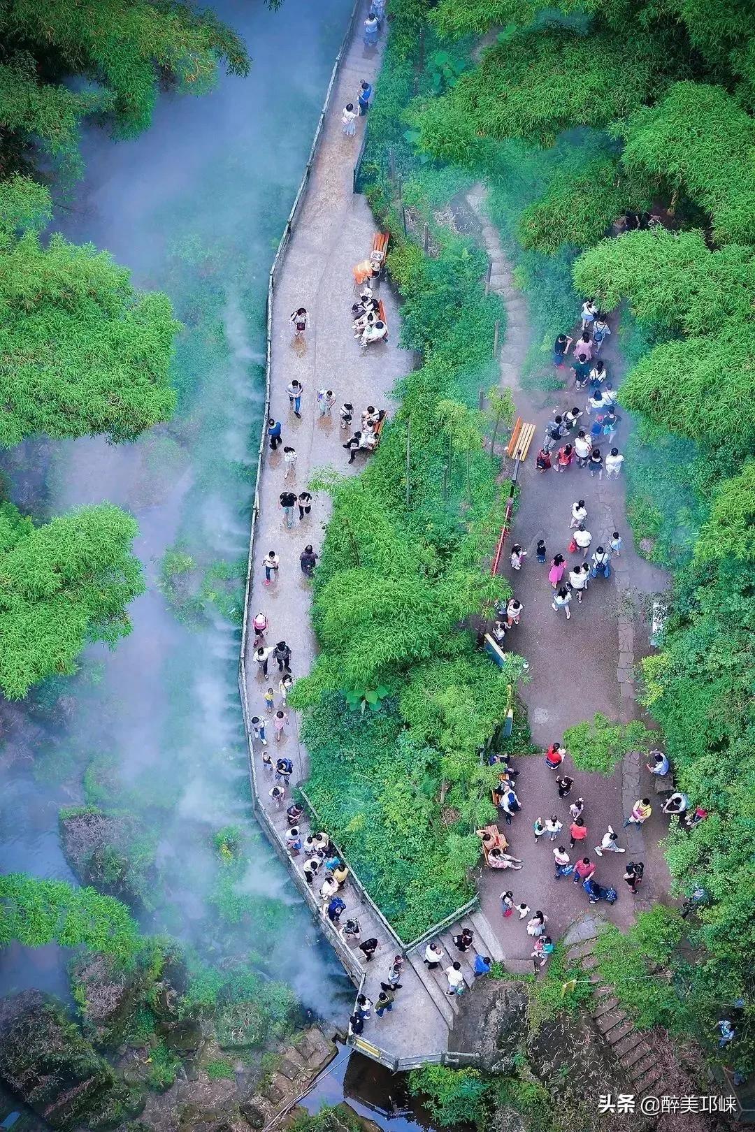 第6274页