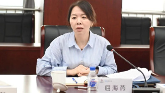 和合系实控人林强在境外被抓,震惊！和合系实控人林强在境外被抓，背后真相究竟如何？