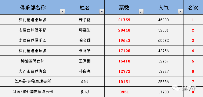 澳门一码中精准一码的投注技巧，数据执行驱动决策_T83.7.4