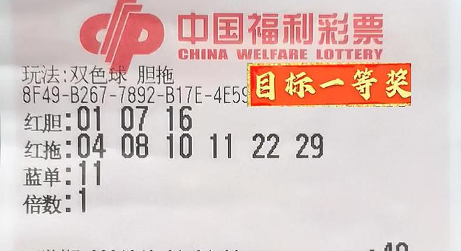 2024新奥今晚开奖结果揭秘高手推荐全攻略_投注赢家特辑