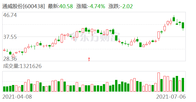 2024澳门特马今晚开奖07期，实地验证分析数据_zShop24.40.66