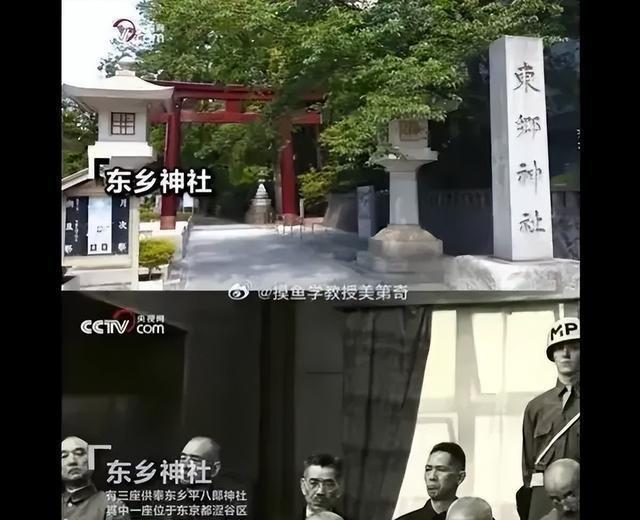 乒乓巅峰之战，林诗栋决战张本智和争冠瞬间