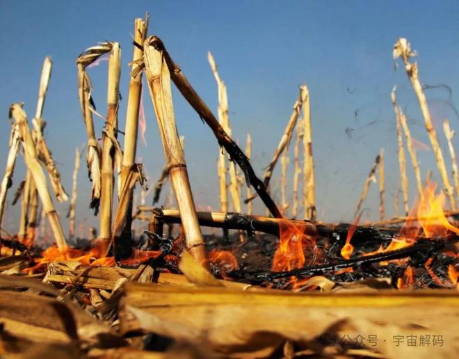 湖南某地秸秆焚烧政策更新，小村新消息与情感纽带下的环保决策探讨