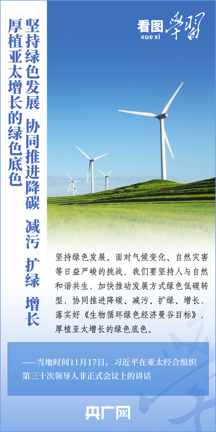 建立深度友谊与学习新技能的桥梁，以心相交，携手共进