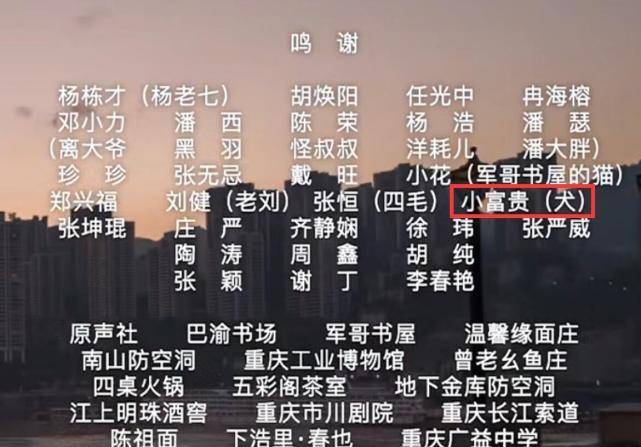 最准一码一肖100%精准老钱庄揭秘，合理执行审查_影像版84.39.8