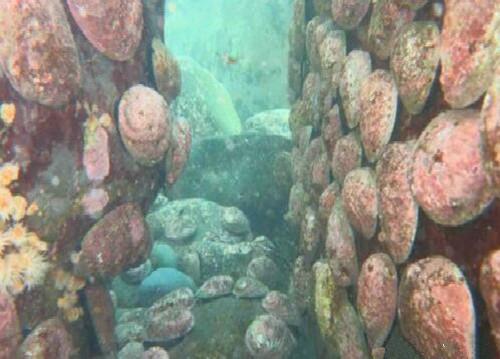 新西兰海军唯一测量船沉没，科技时代的海洋探索挑战