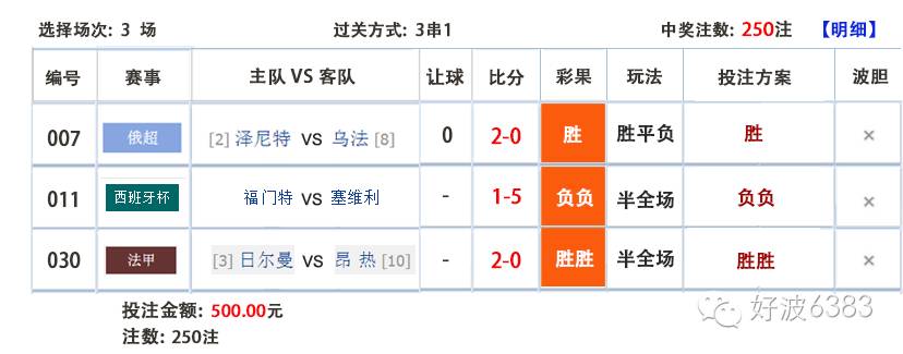 王中王100%必中澳彩，经济版精选策略解析_OEN220.82