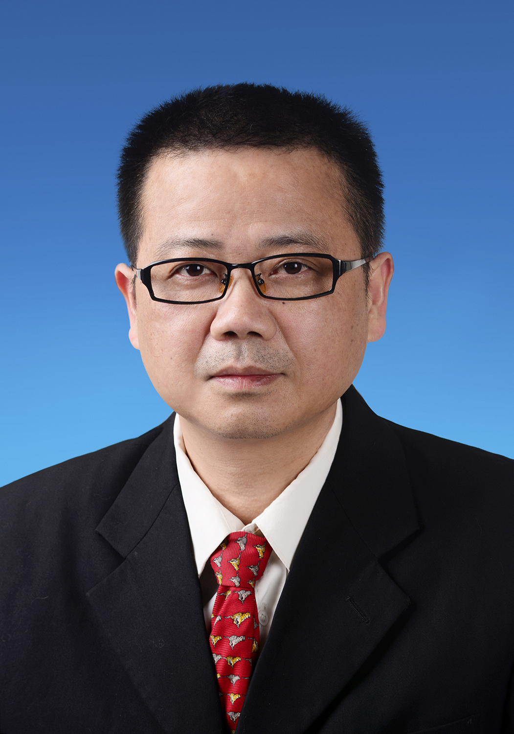 罗军最新章节深度解析与探讨