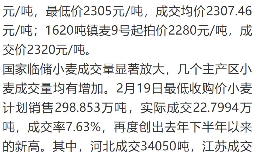 今日小麦价格最新动态与市场行情分析