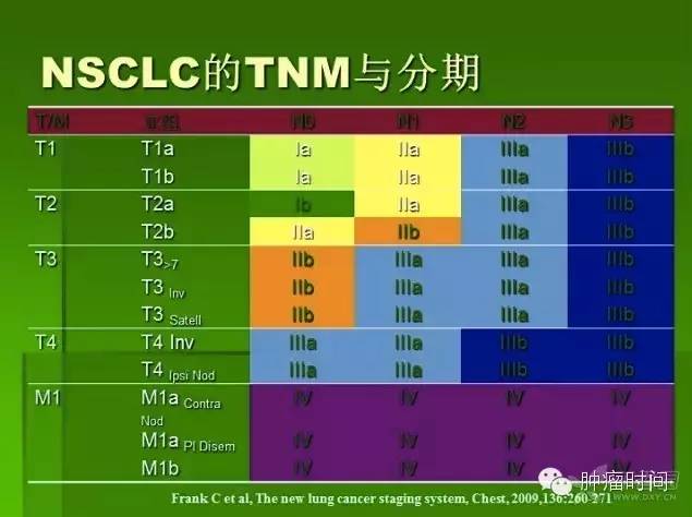 最新TNM分期标准详解与小巷深处的特色小店探秘