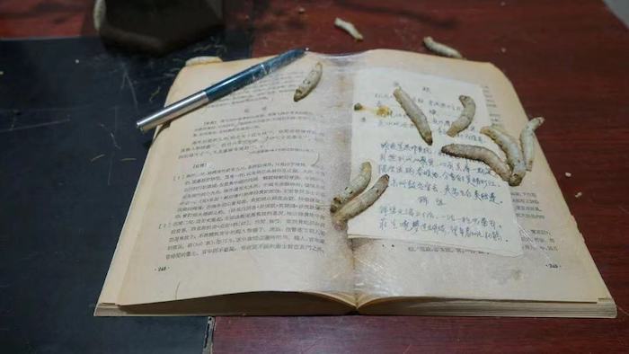 都市仙尊洛书最新章节深度论述与观点阐述