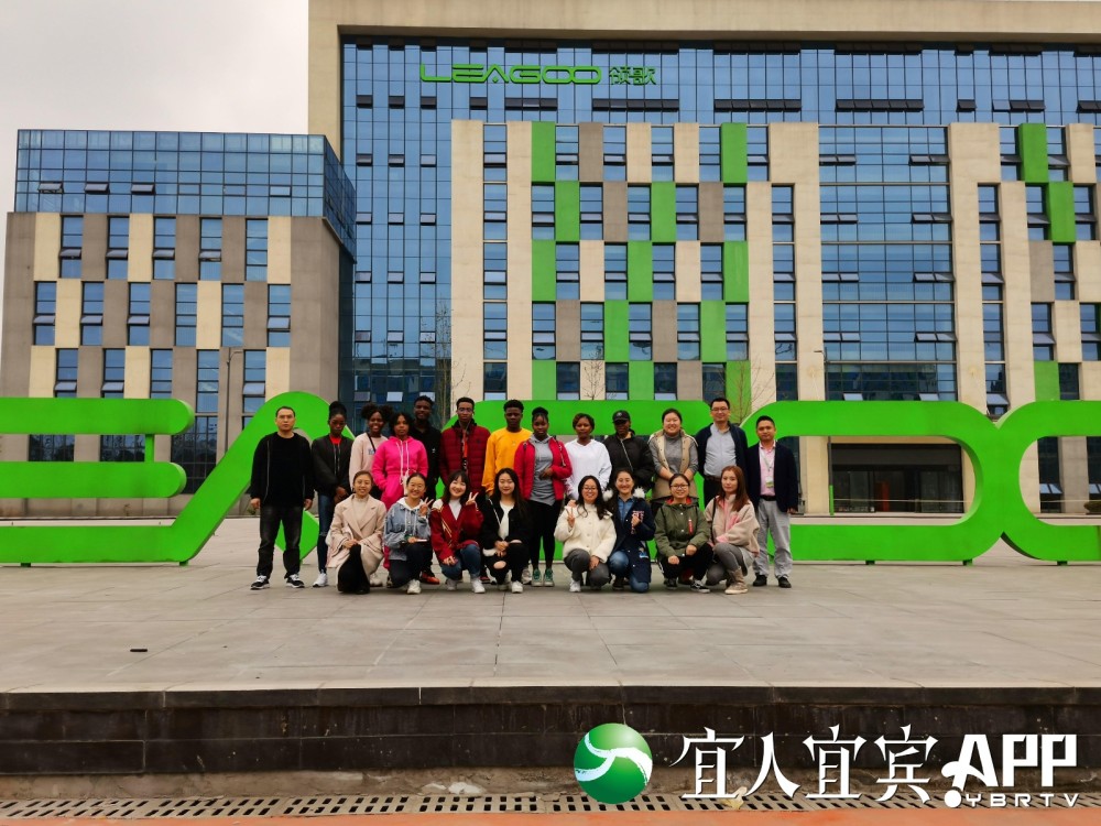 高碑店人才网最新招聘信息，科技驱动未来，人才铸就梦想梦想