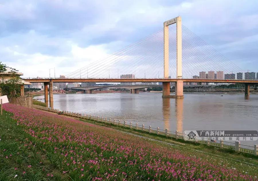 河北大城新闻最新消息速递