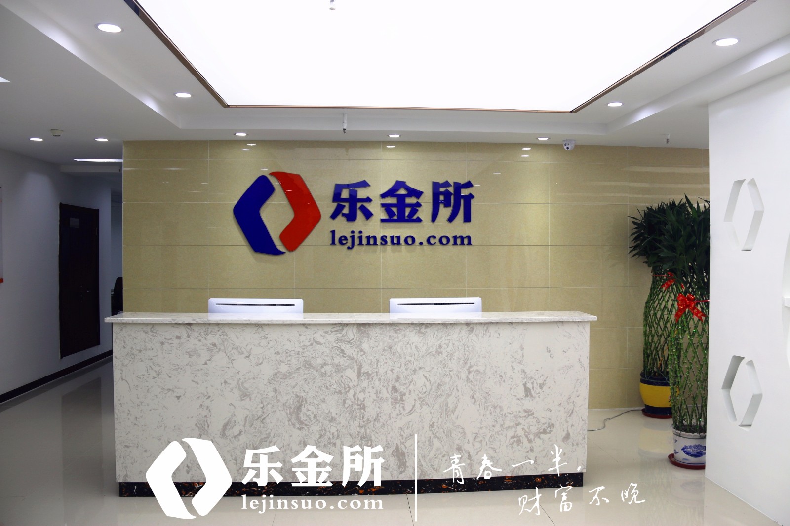 乐金所最新动态与消息汇总📣📈