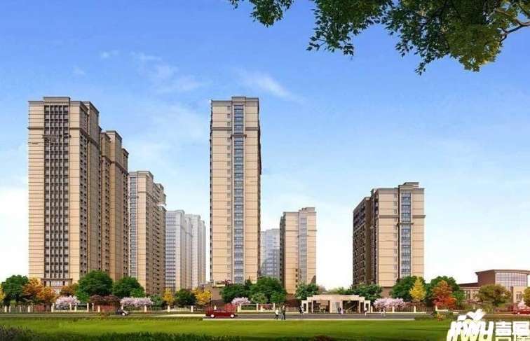 连云港最新楼盘价格深度解析与个人观点观察