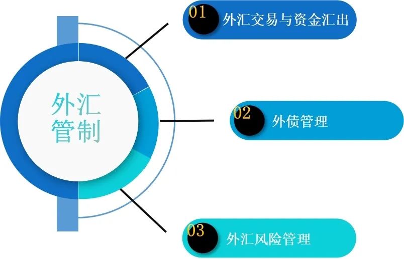 最新个人外汇管理办法，背景、影响与地位解析