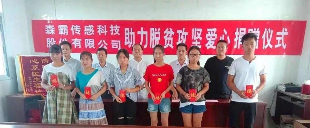 森霸传感最新动态，心灵与自然的完美交融