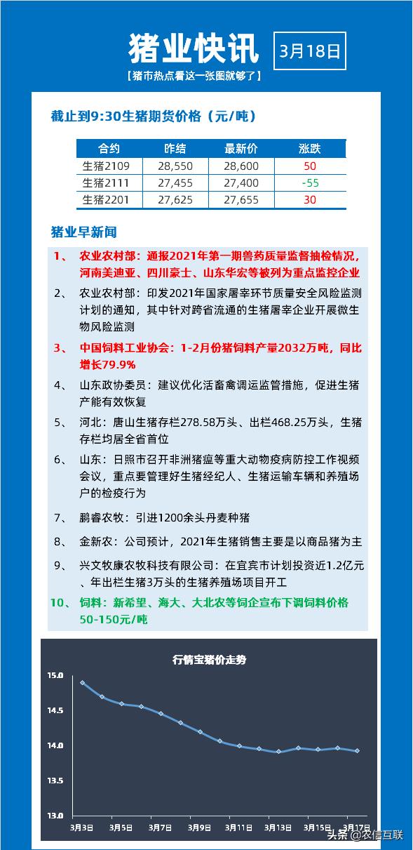 最新猪价交流动态，最新市场趋势分析