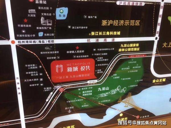 300359最新消息深度解析