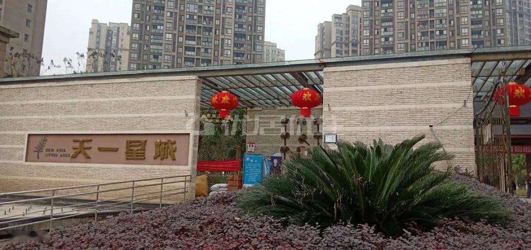阳逻最新招聘信息及小巷特色小店探秘
