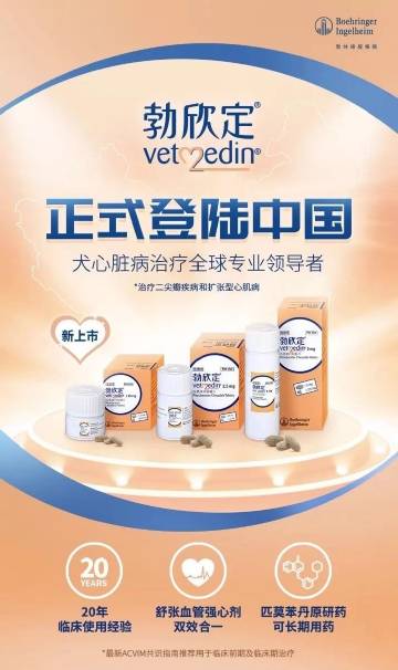 优欣定胶囊最新消息揭秘，与奇妙的一天关联揭秘。