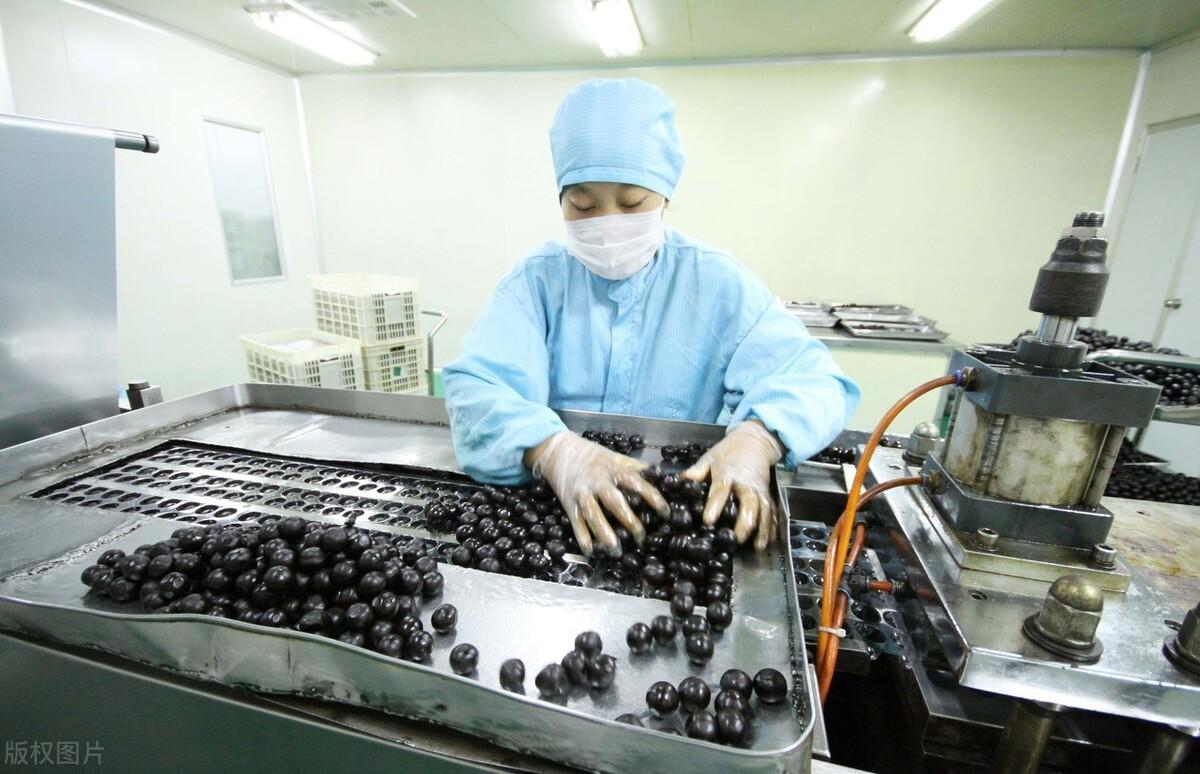板蓝根最新价格，变化中的价值与学习力量探索