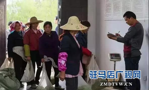 做饭阿姨最新招聘信息发布，寻找专业厨艺人才！