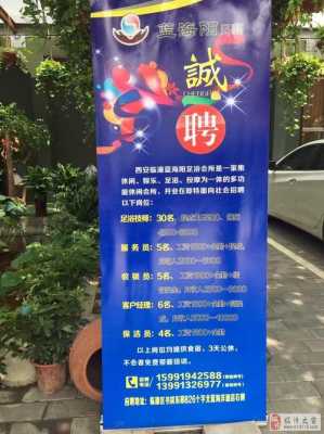 海阳最新招聘信息揭秘，小巷中的职业宝藏等你来发掘！