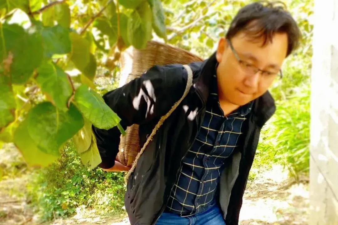 投资宝最新动态深度解析与观点阐述，最新消息一览