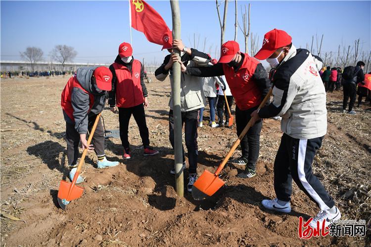 永清高铁最新动态，温馨旅程即将启程